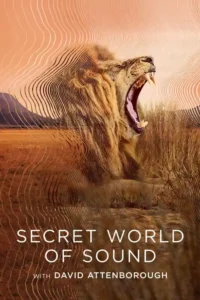 secret world of sound with david attenborough s01 2024