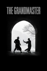 the grandmaster 2013
